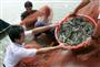 Trung Quốc gỡ bỏ lệnh tạm dừng nhập khẩu tôm sú sống từ Việt Nam