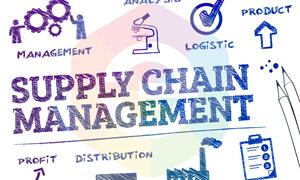 Cơ hội nghề nghiệp của Supply Chain – Chuỗi cung ứng