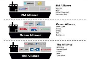 Liên minh hãng tàu và thị trường vận tải biển toàn cầu